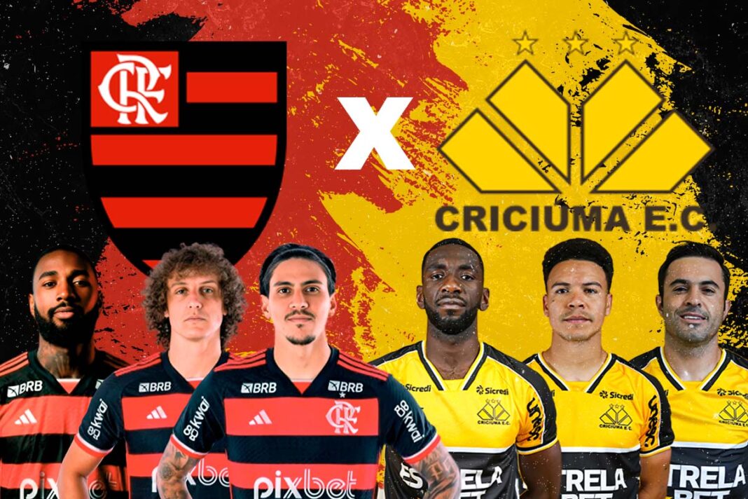 flamengo-x-criciuma:-vendas-para-o-publico-geral-abrem-nesta-quarta