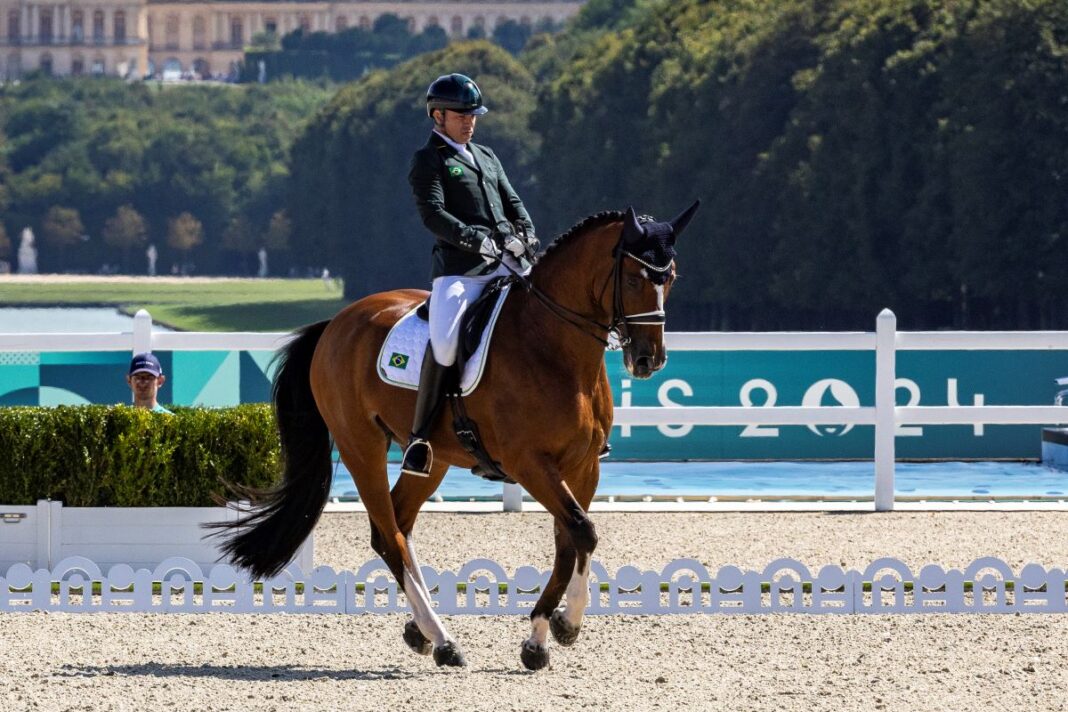 video:-abelha-assusta-cavalo-e-brasil-perde-medalha-nas-paralimpiadas