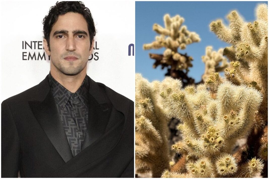 renato-goes-fica-cheio-de-espinhos-apos-acidente-em-jardim-de-cactos
