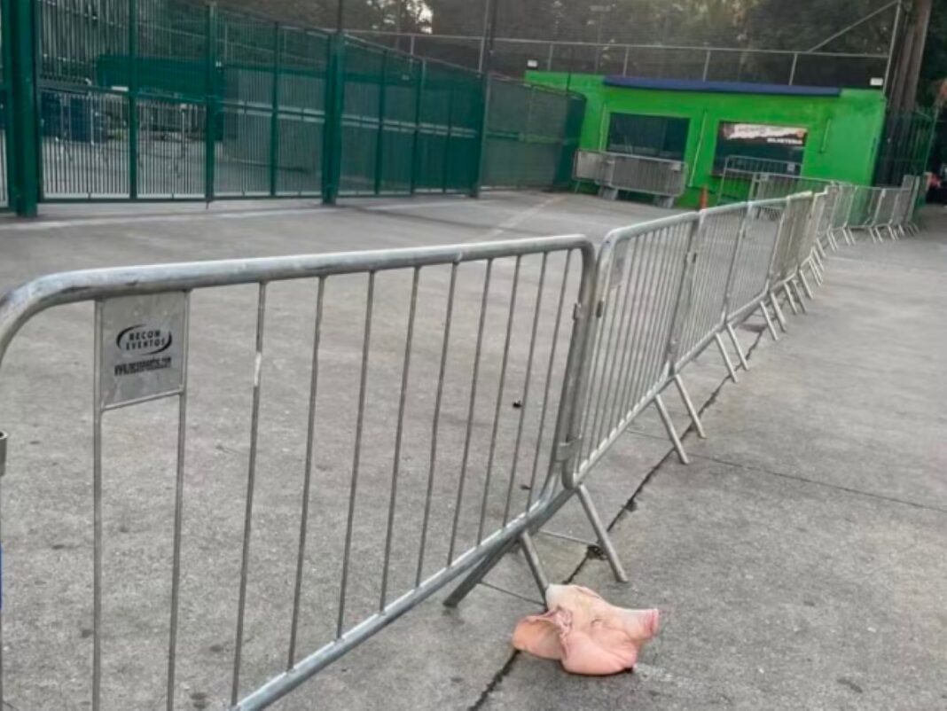 cabeca-de-porco-e-deixada-em-frente-ao-allianz-parque-antes-de-derbi